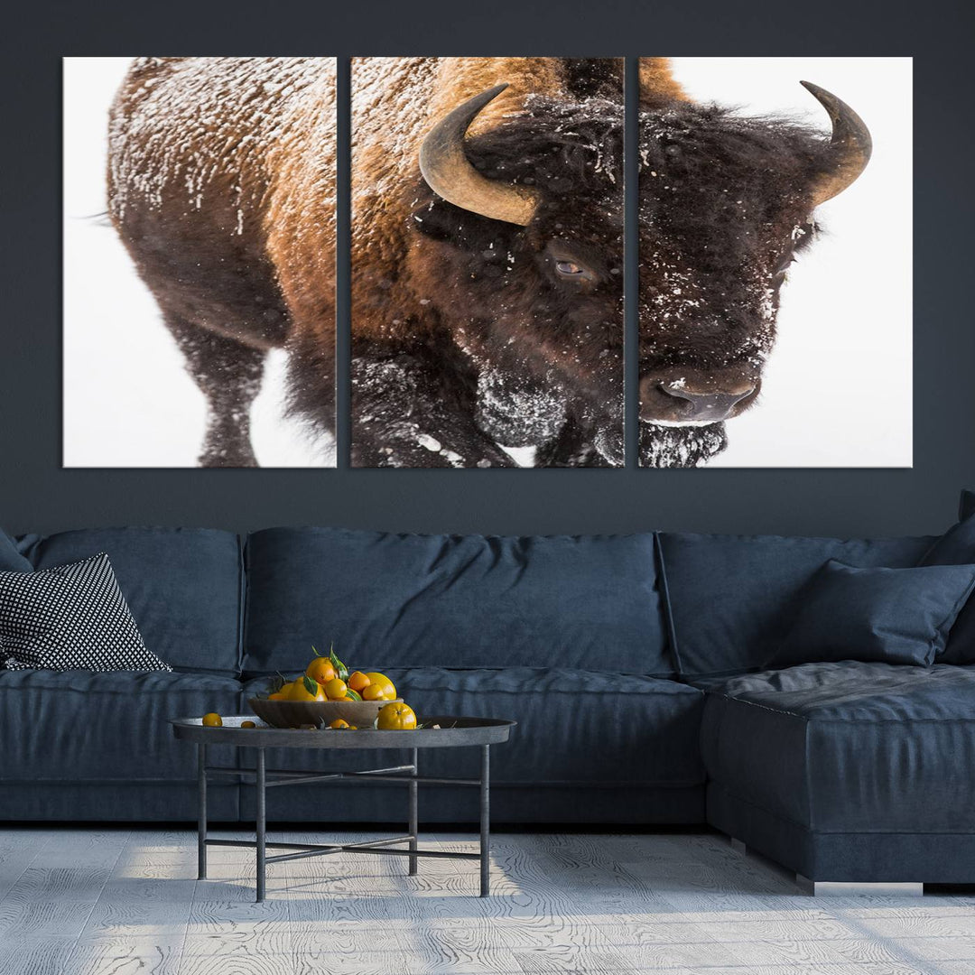 Bison Wall Art Canvas Print Winter