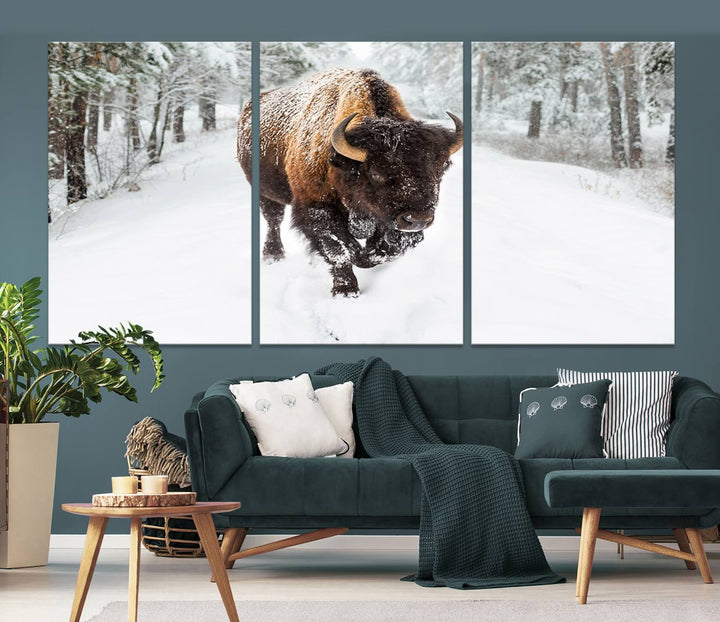 Bison Wall Art Canvas Print Winter