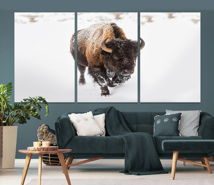 Bison Wall Art Canvas Print Winter