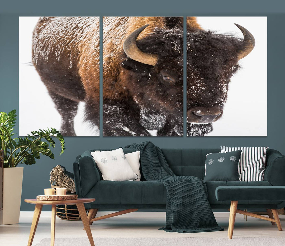 Bison Wall Art Canvas Print Winter