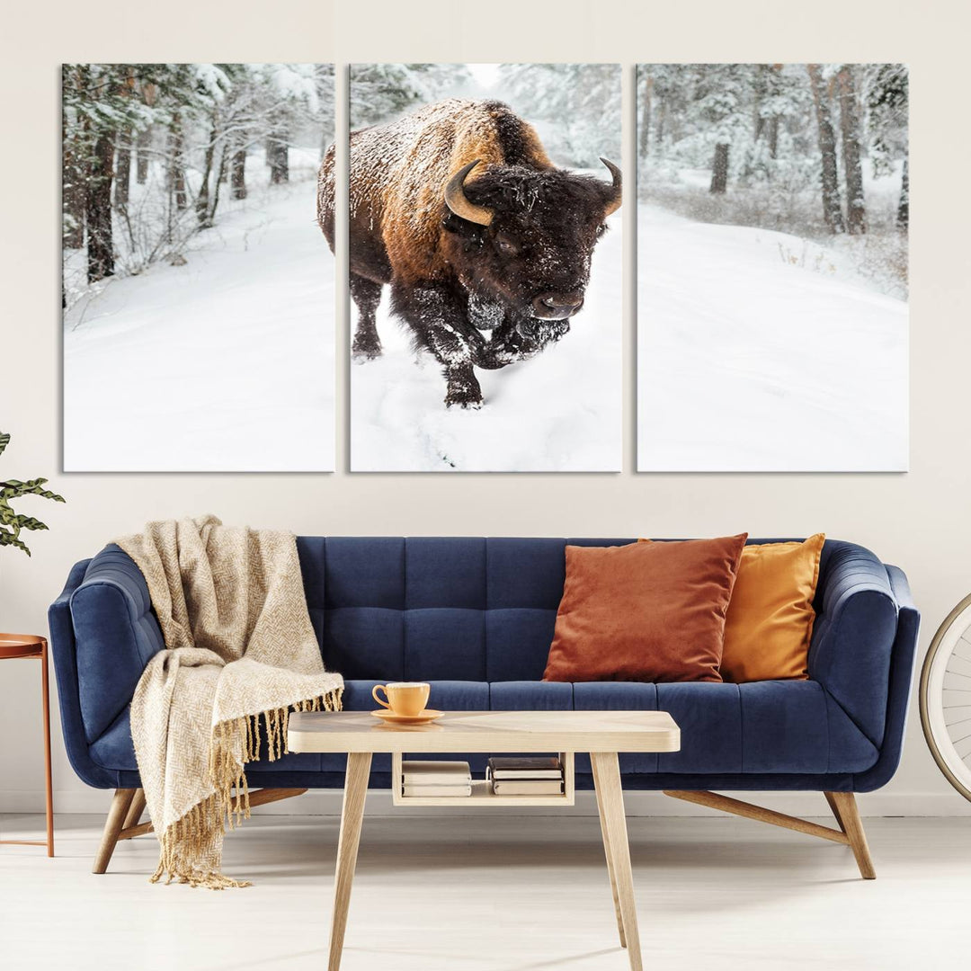 Bison Wall Art Canvas Print Winter