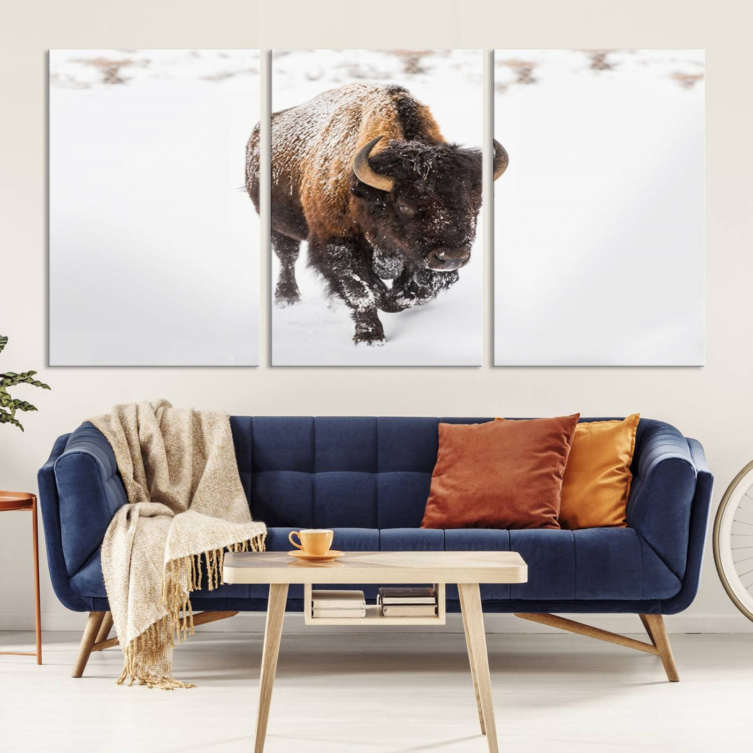 Bison Wall Art Canvas Print Winter