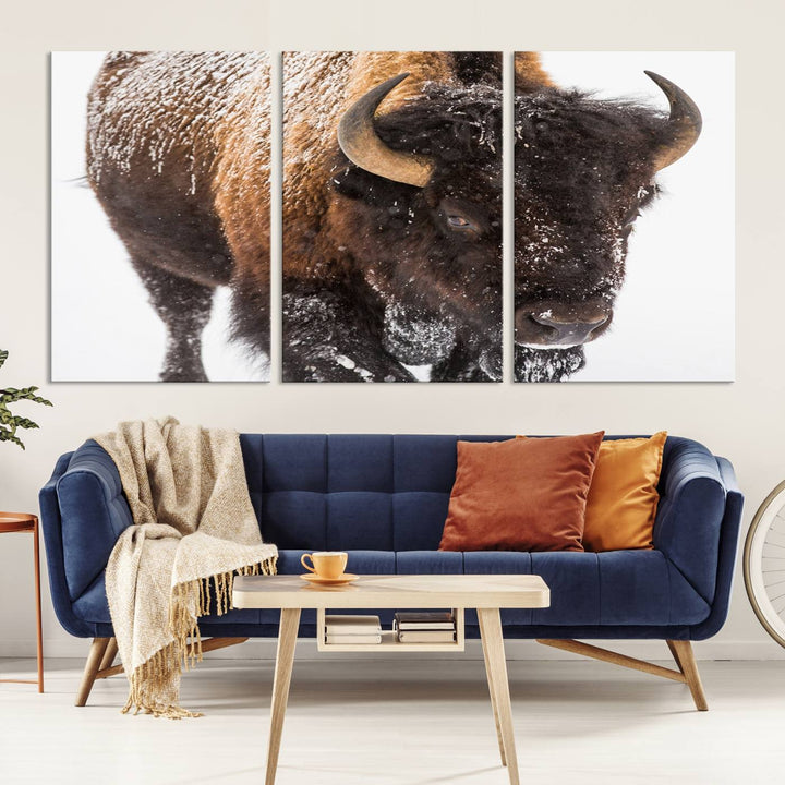 Bison Wall Art Canvas Print Winter