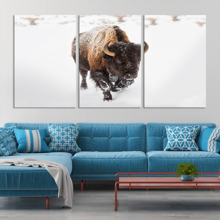 Bison Wall Art Canvas Print Winter