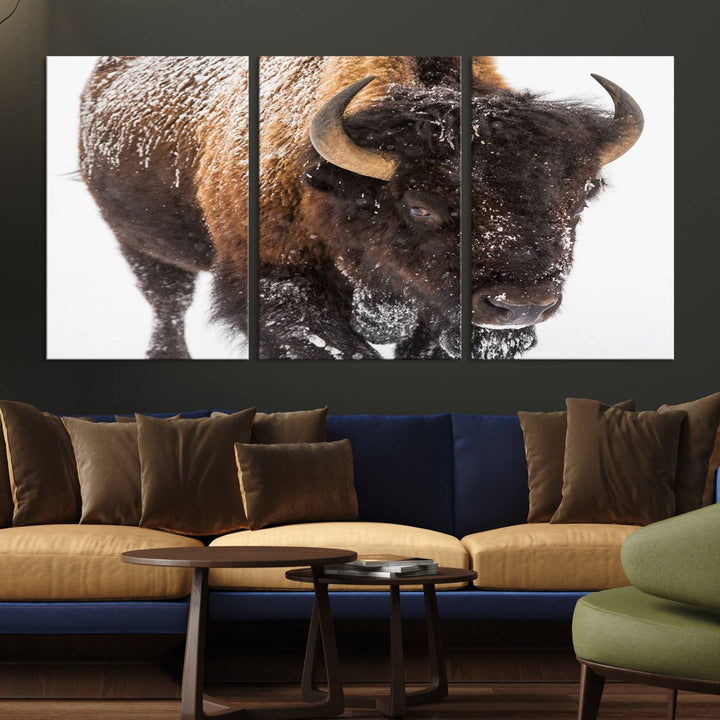 Bison Wall Art Canvas Print Winter