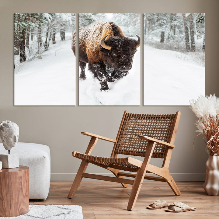 Bison Wall Art Canvas Print Winter