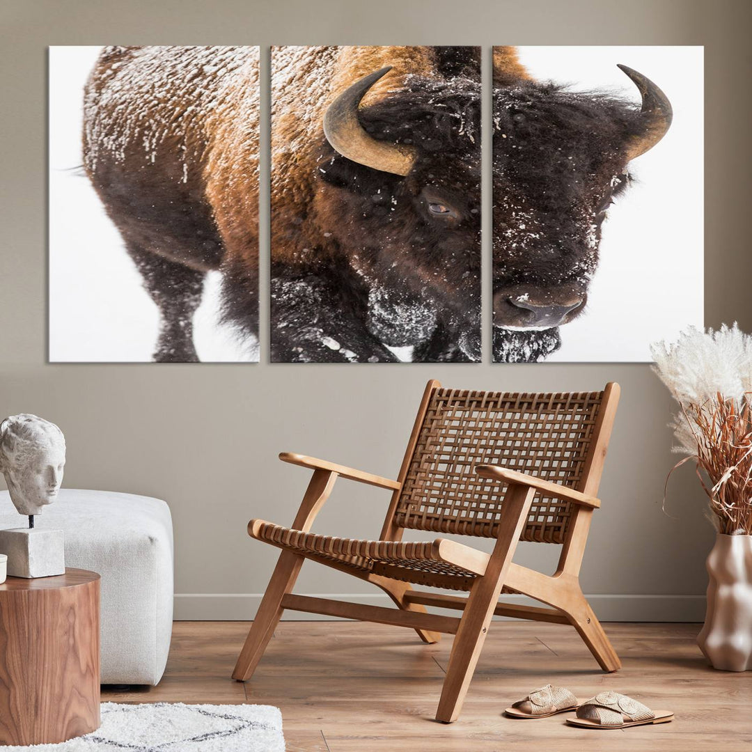 Bison Wall Art Canvas Print Winter