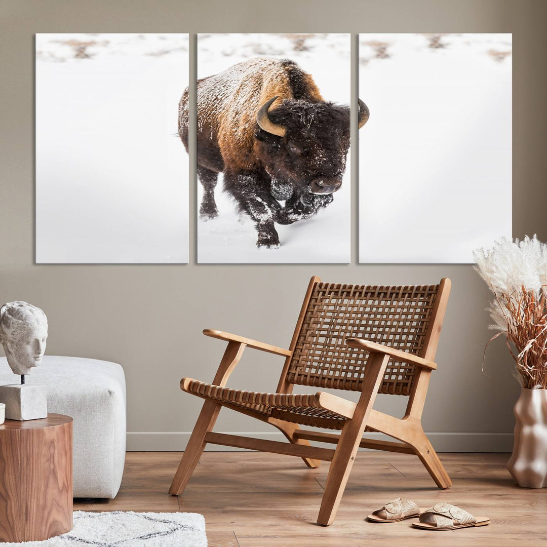 Bison Wall Art Canvas Print Winter