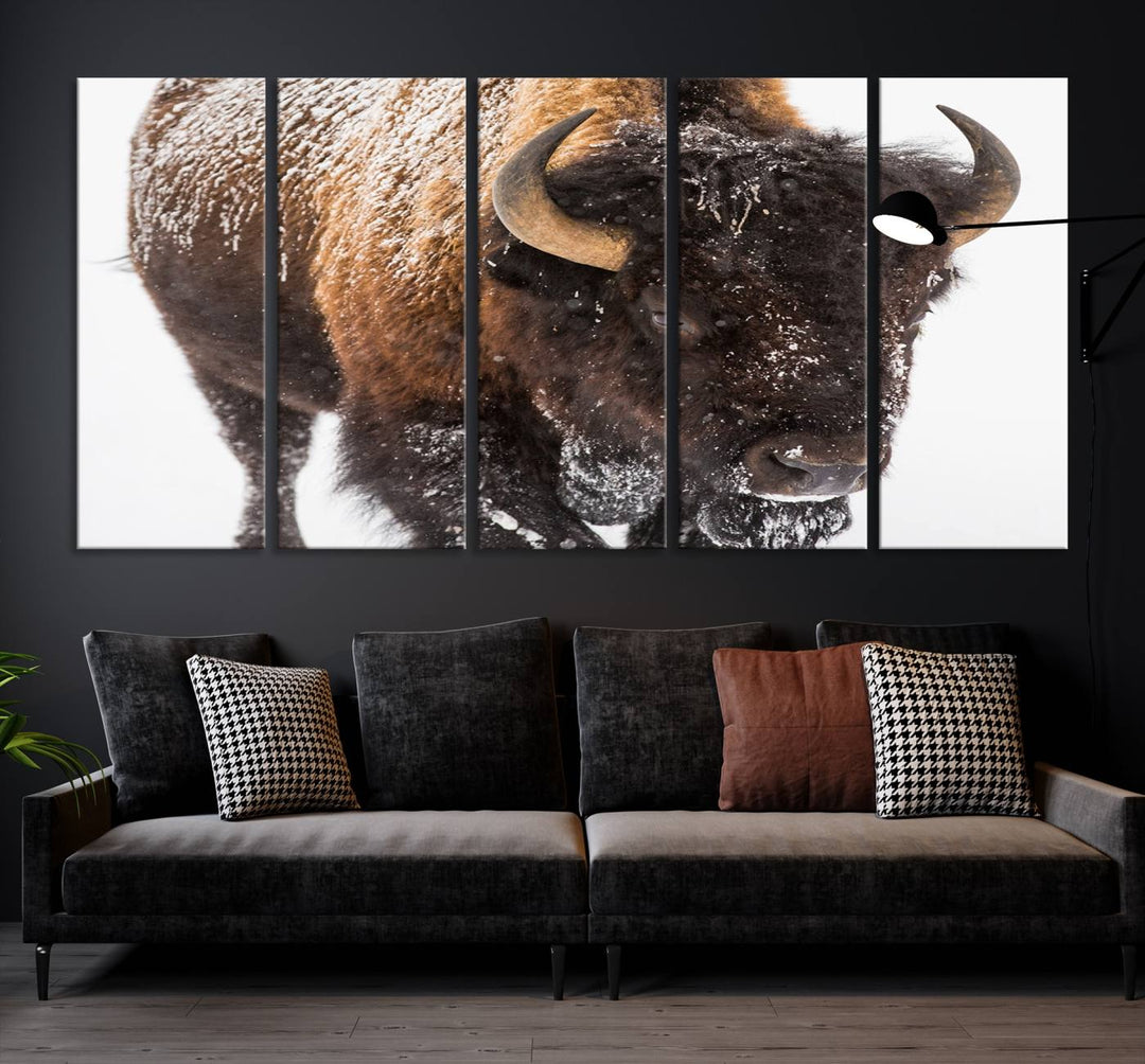 Bison Wall Art Canvas Print Winter