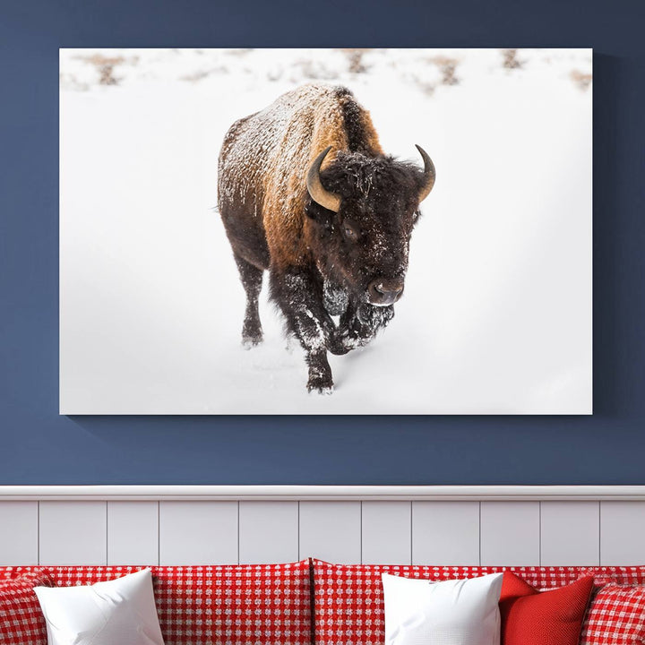 Bison Wall Art Canvas Print Winter