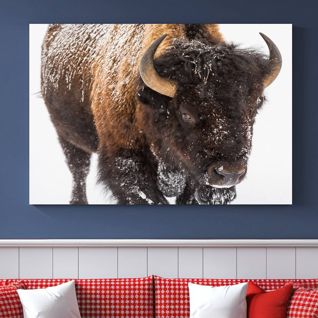 Bison Wall Art Canvas Print Winter