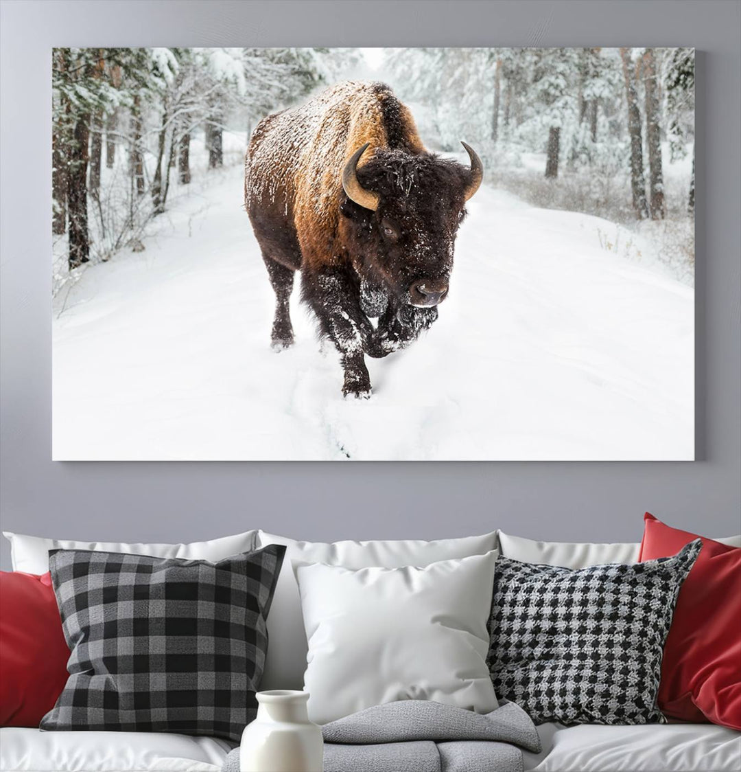 Bison Wall Art Canvas Print Winter