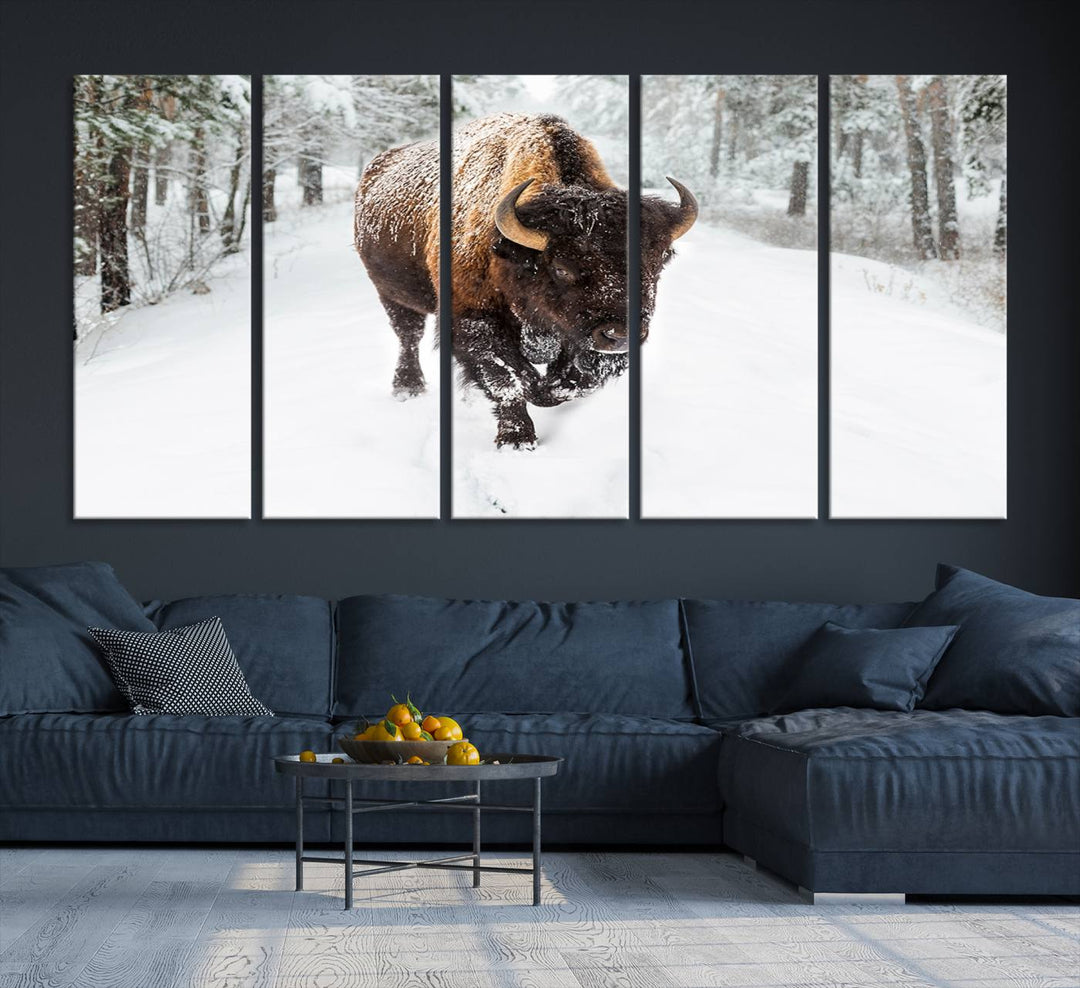 Bison Wall Art Canvas Print Winter