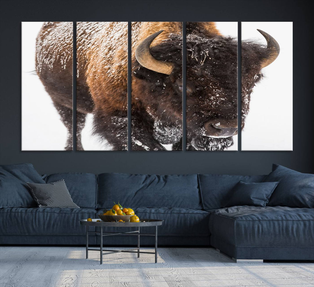 Bison Wall Art Canvas Print Winter