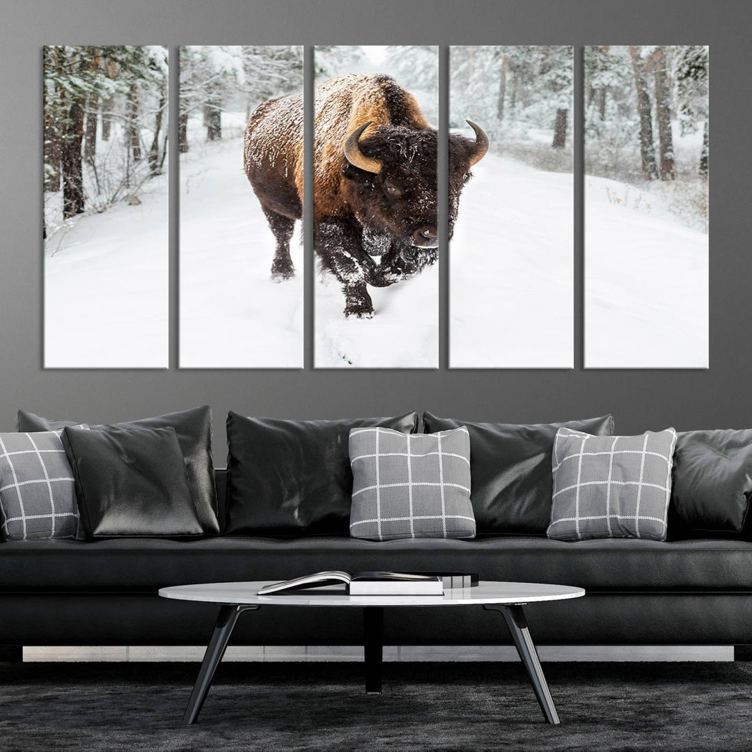 Bison Wall Art Canvas Print Winter