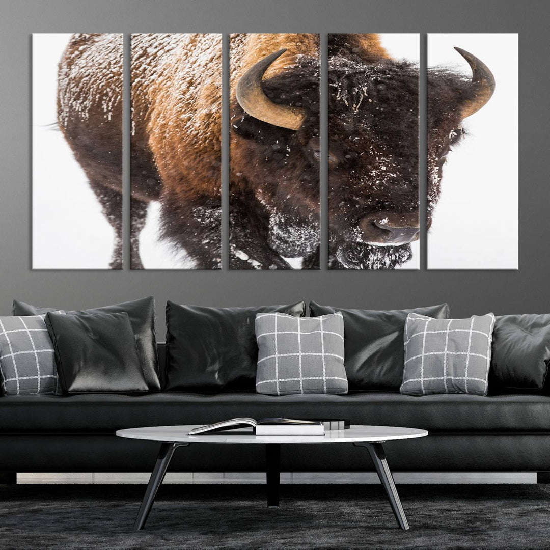 Bison Wall Art Canvas Print Winter