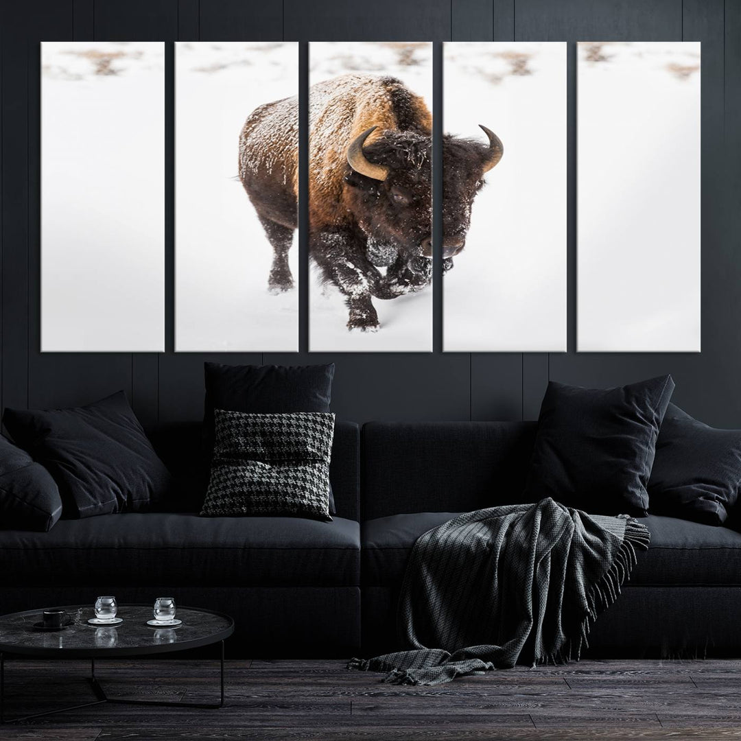 Bison Wall Art Canvas Print Winter