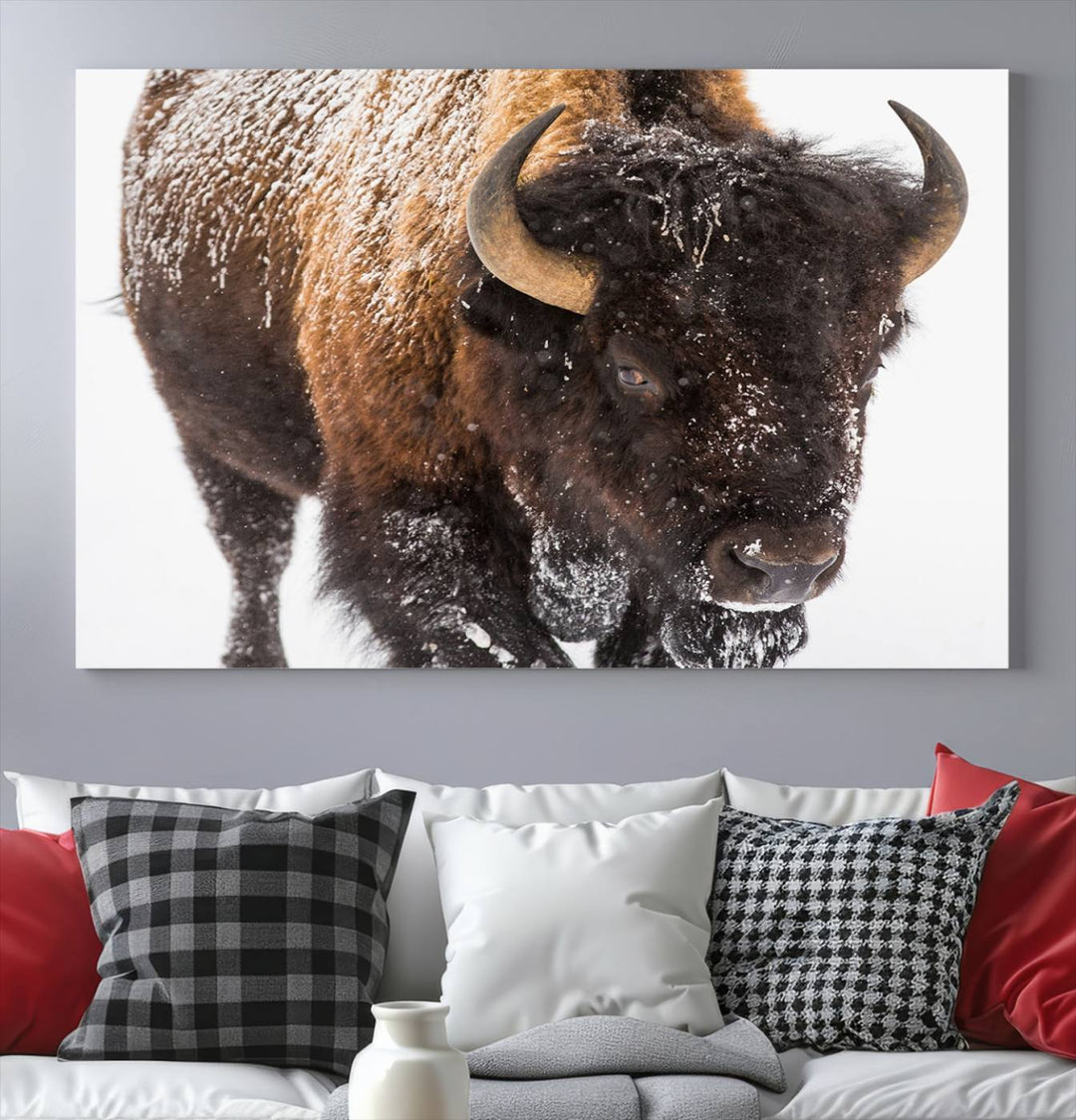 Bison Wall Art Canvas Print Winter