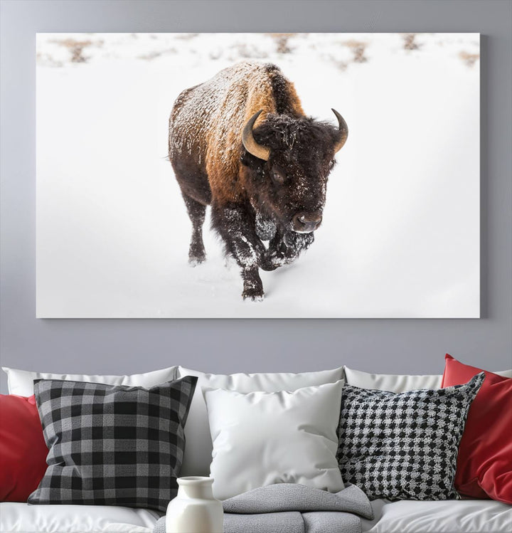 Bison Wall Art Canvas Print Winter