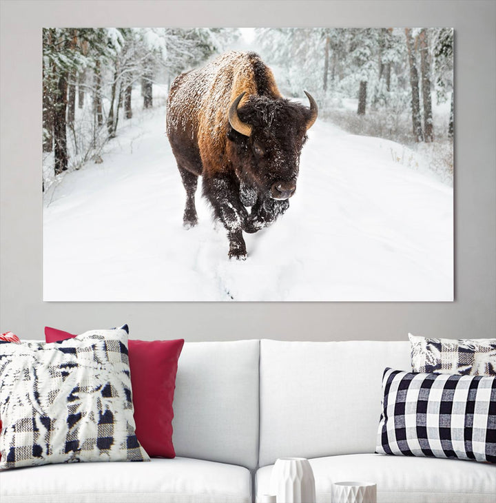 Bison Wall Art Canvas Print Winter