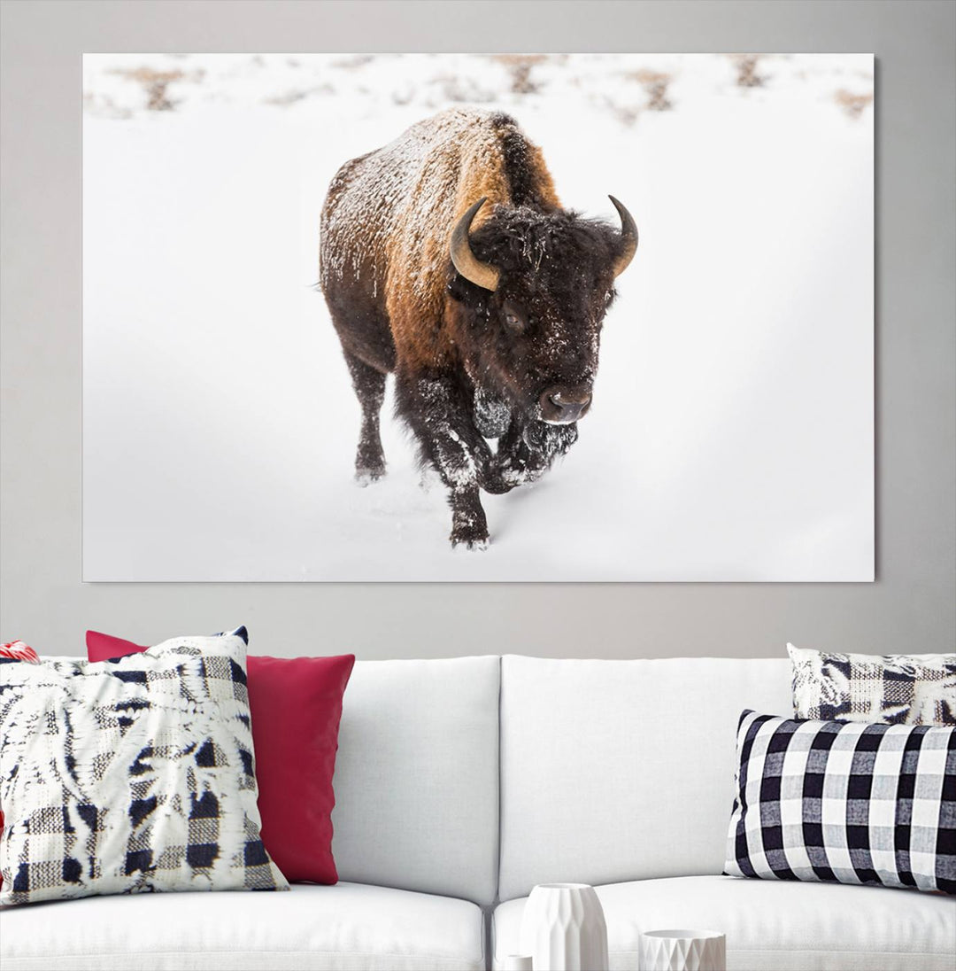 Bison Wall Art Canvas Print Winter