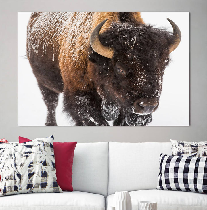 Bison Wall Art Canvas Print Winter