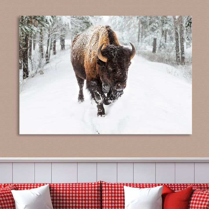 Bison Wall Art Canvas Print Winter