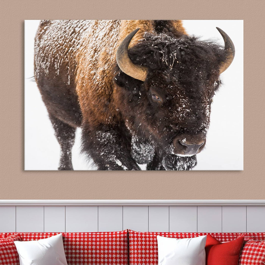 Bison Wall Art Canvas Print Winter