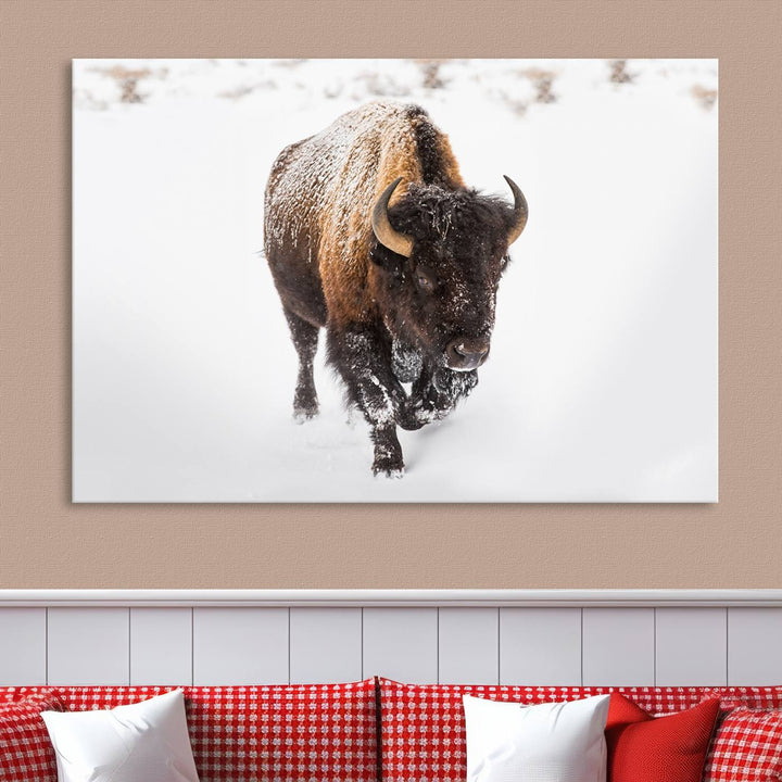 Bison Wall Art Canvas Print Winter