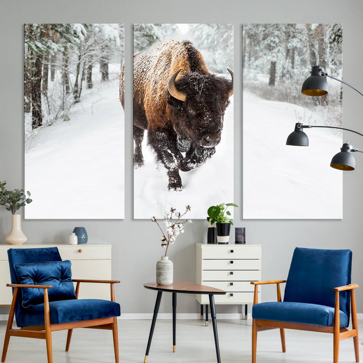 Bison Wall Art Canvas Print Winter