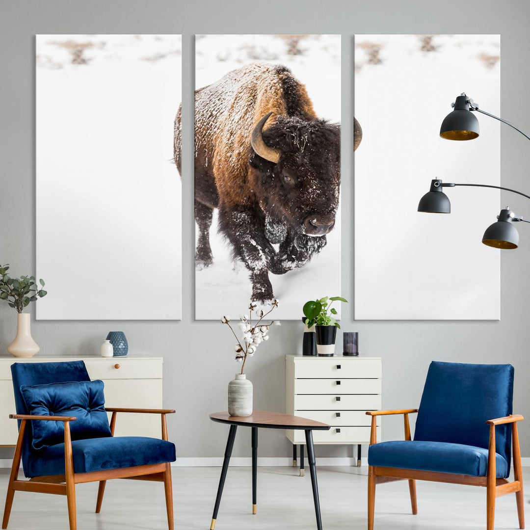 Bison Wall Art Canvas Print Winter