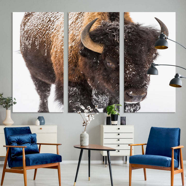 Bison Wall Art Canvas Print Winter