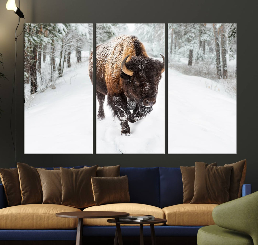 Bison Wall Art Canvas Print Winter