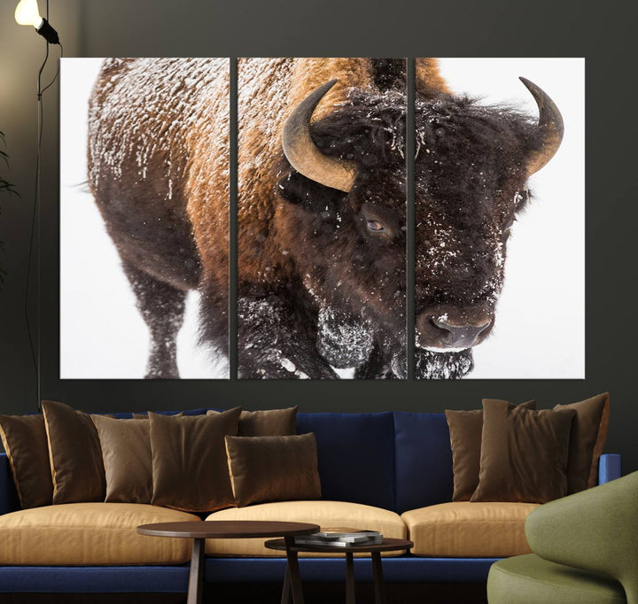 Bison Wall Art Canvas Print Winter