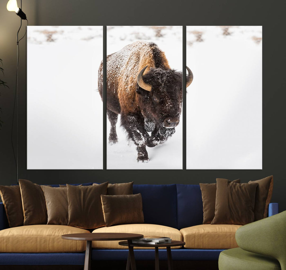 Bison Wall Art Canvas Print Winter