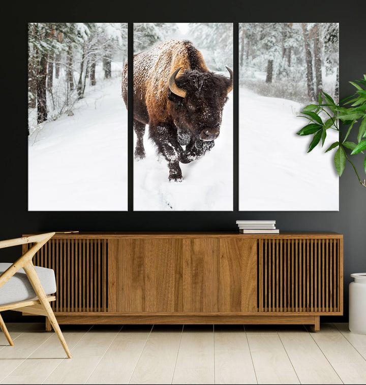 Bison Wall Art Canvas Print Winter