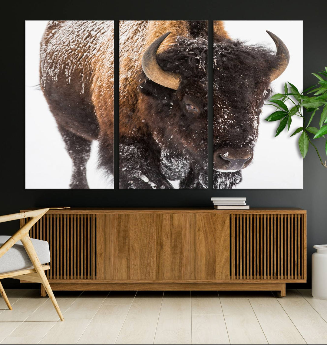 Bison Wall Art Canvas Print Winter