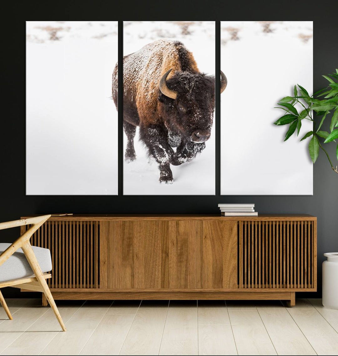 Bison Wall Art Canvas Print Winter