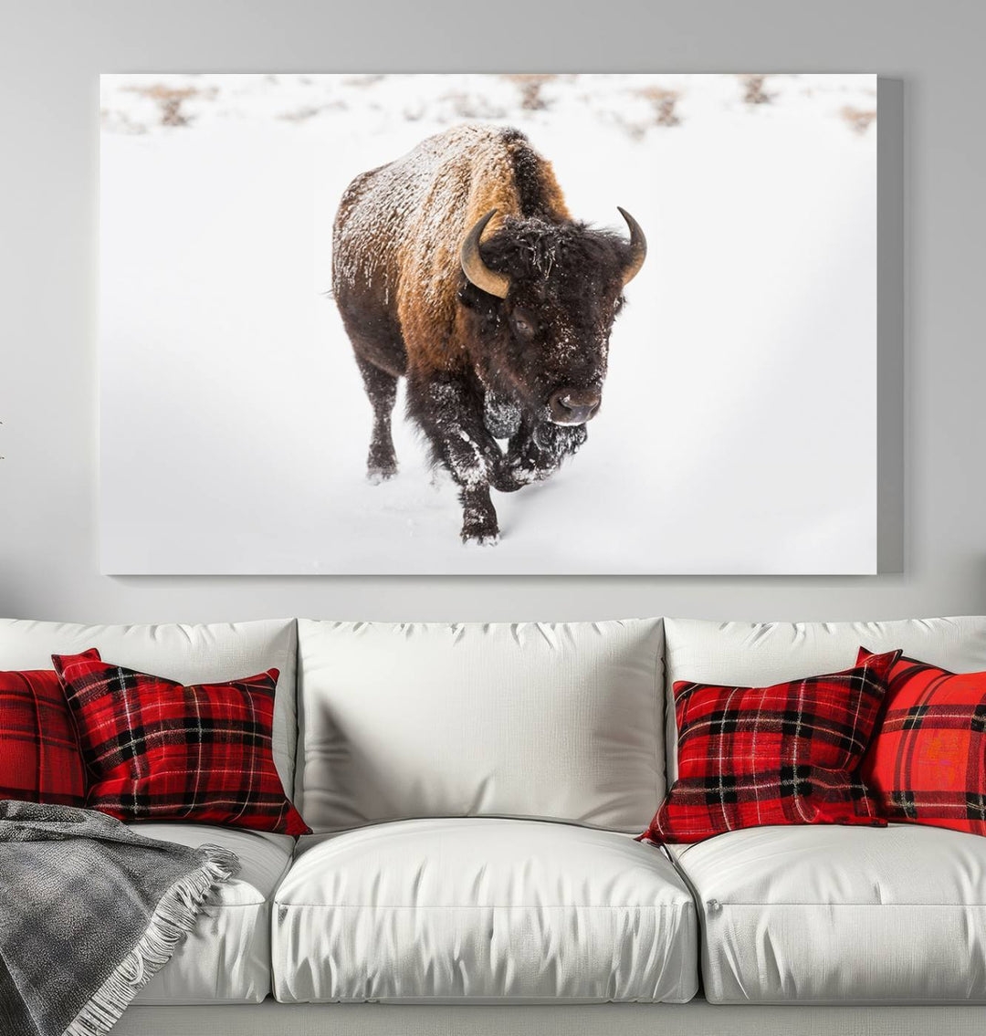 Bison Wall Art Canvas Print Winter