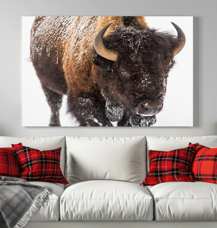 Bison Wall Art Canvas Print Winter