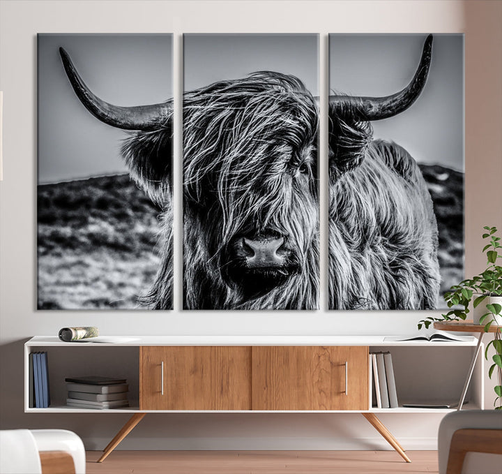 Black and White Extra Large Cow Wall Art Canvas Print Highland Cattle Canvas Art