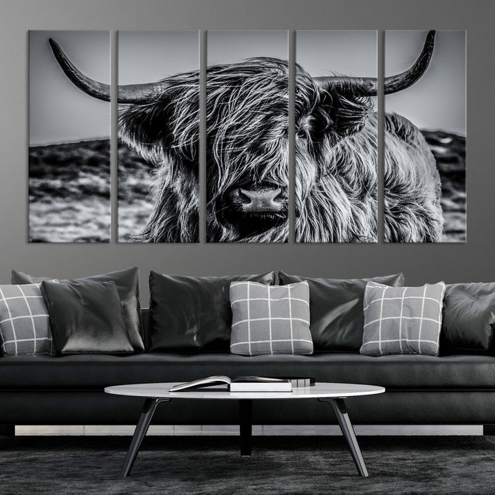 Black and White Extra Large Cow Wall Art Scottish Cattle Animal Canvas Print