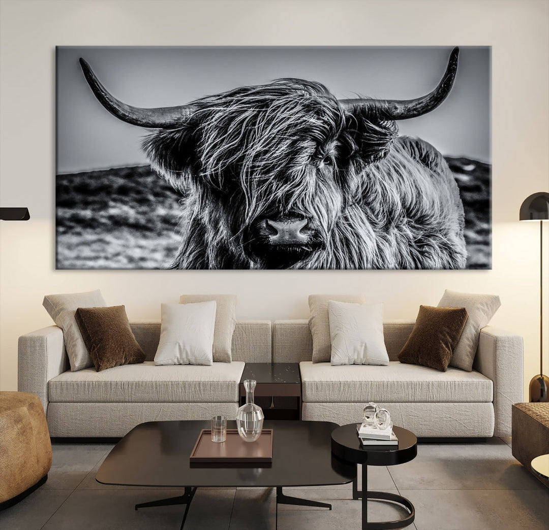 Black and White Extra Large Cow Wall Art Scottish Cattle Animal Canvas Print