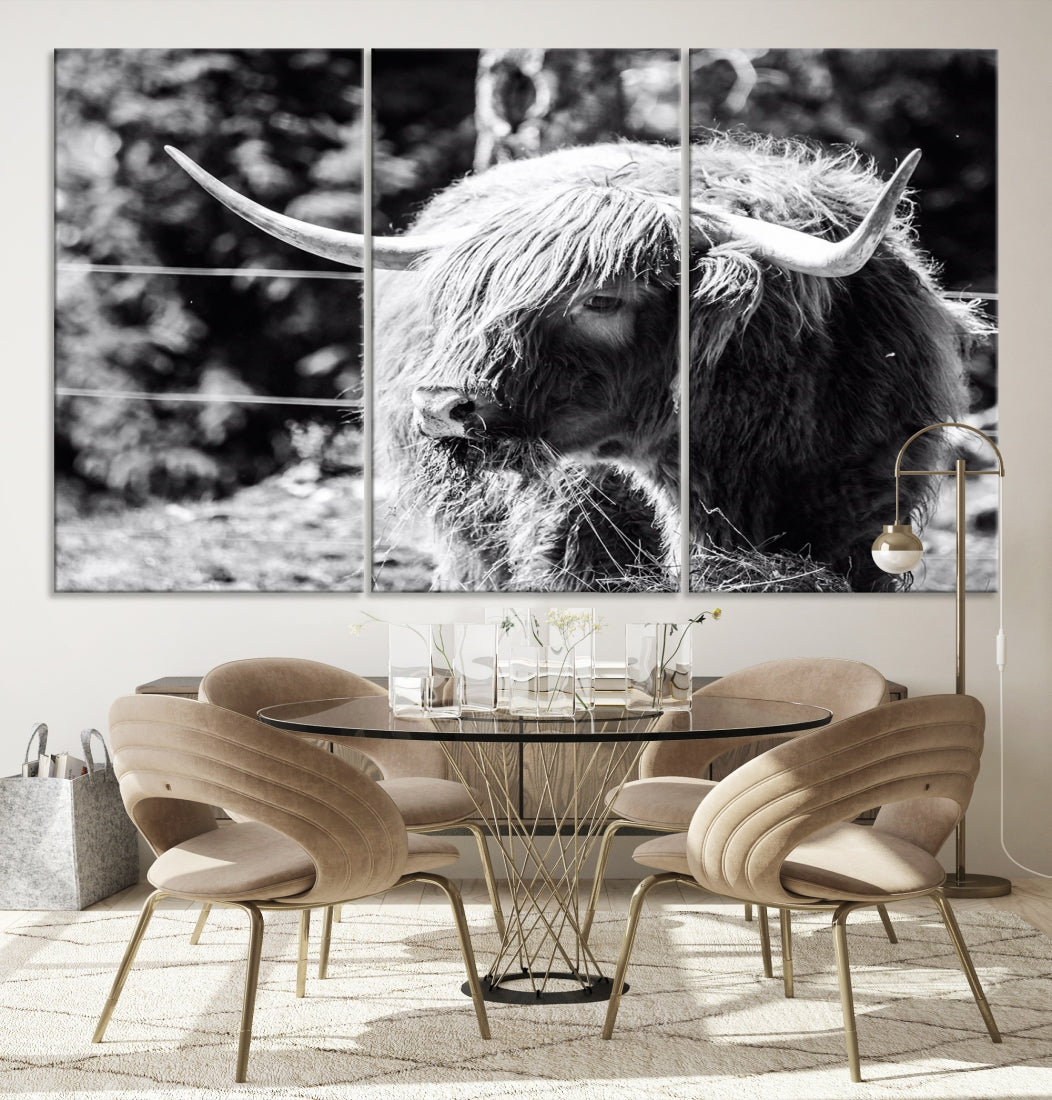 Black and White Highland Cow Canvas Wall Art Print Nature Photograph Canvas Art Large Cow Print Panel Canvas Set