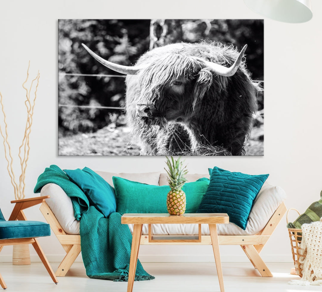 Black and White Highland Cow Canvas Wall Art Print Nature Photograph Canvas Art Large Cow Print Panel Canvas Set