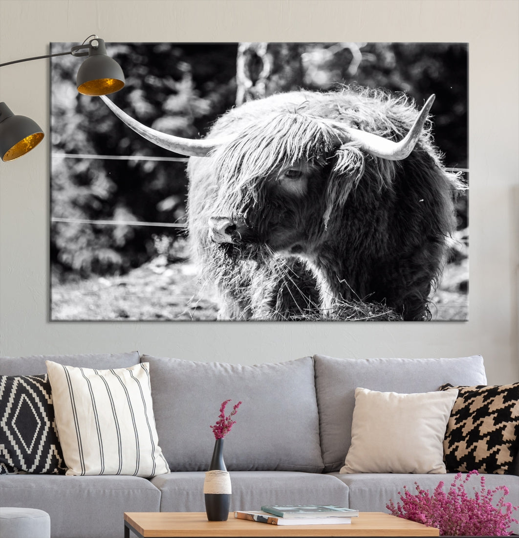 Black and White Highland Cow Canvas Wall Art Print Nature Photograph Canvas Art Large Cow Print Panel Canvas Set