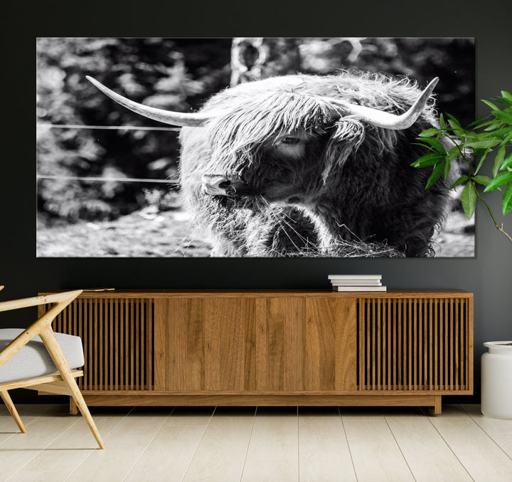 Black and White Highland Cow Canvas Wall Art Print Nature Photograph Canvas Art Large Cow Print Panel Canvas Set