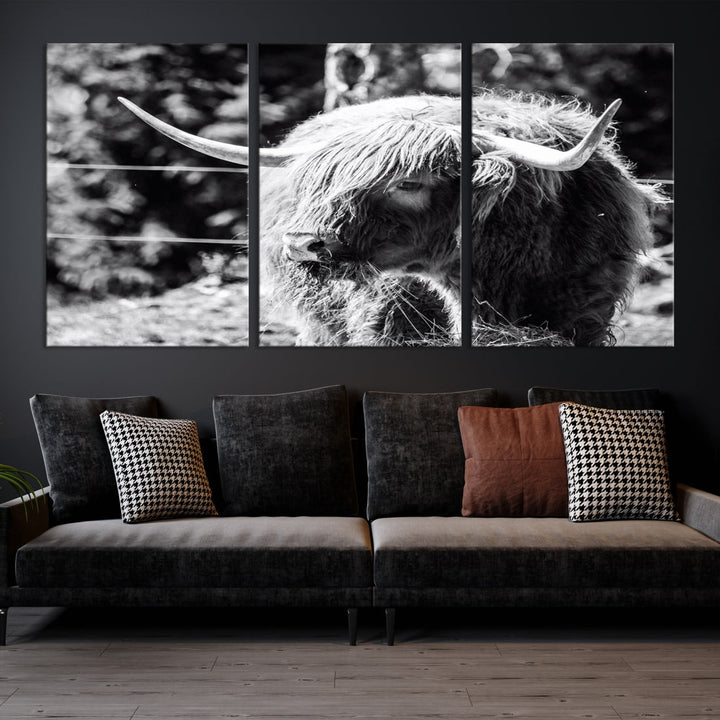 Black and White Highland Cow Canvas Wall Art Print Nature Photograph Canvas Art Large Cow Print Panel Canvas Set