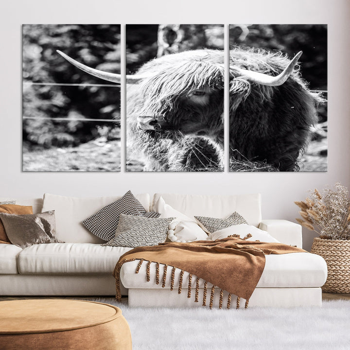 Black and White Highland Cow Canvas Wall Art Print Nature Photograph Canvas Art Large Cow Print Panel Canvas Set