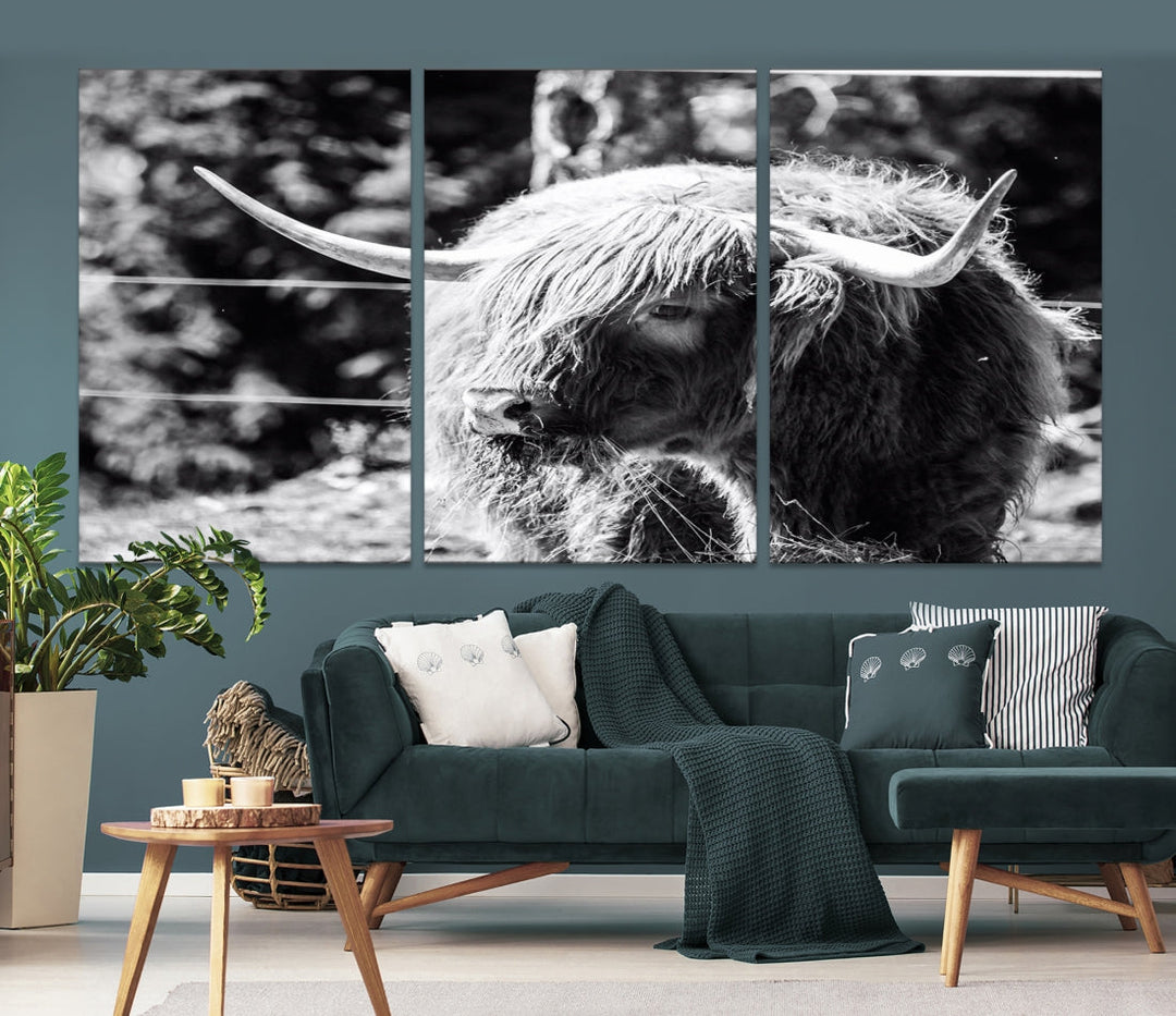 Black and White Highland Cow Canvas Wall Art Print Nature Photograph Canvas Art Large Cow Print Panel Canvas Set